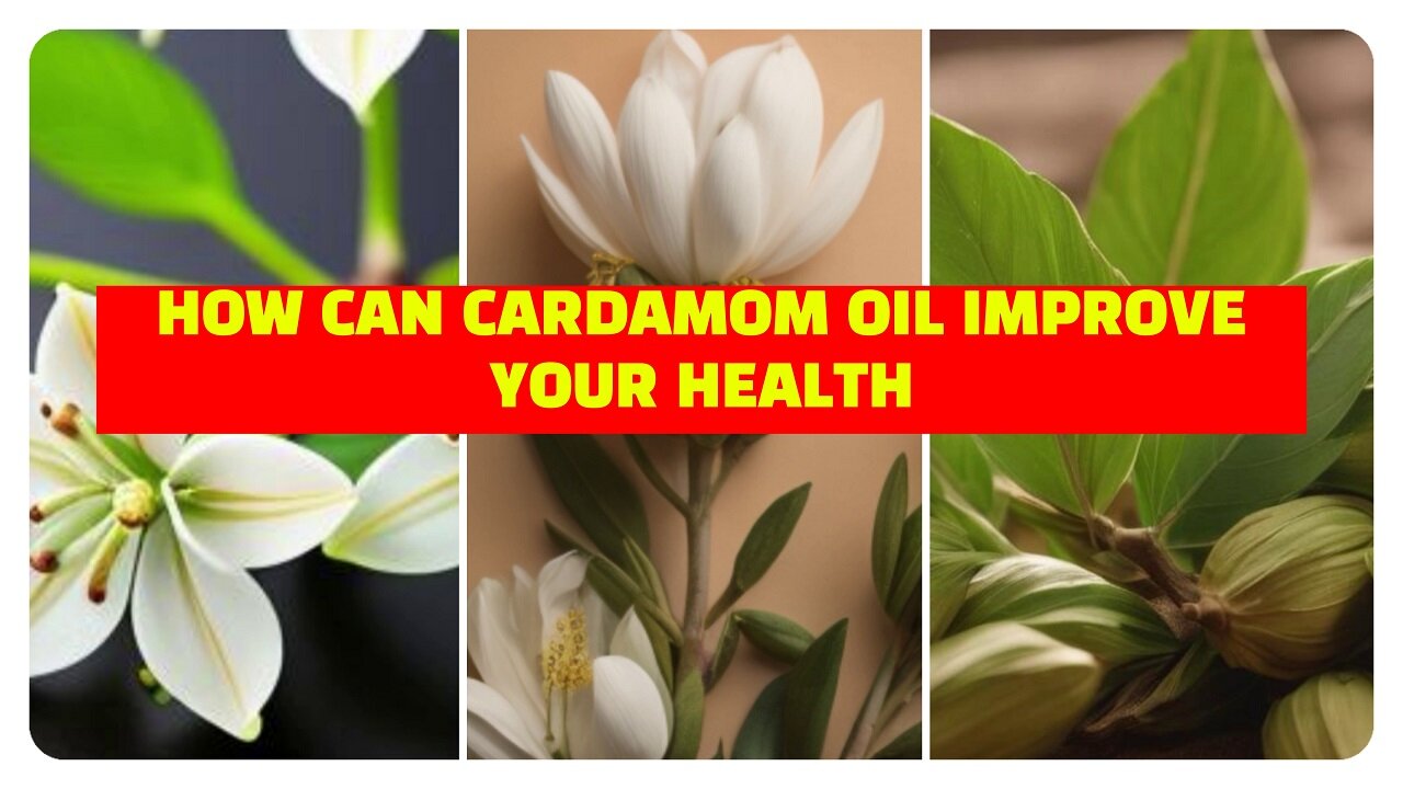 Discovering the Healing Properties of Cardamom Oil