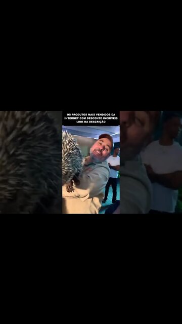 o sonic na vida real