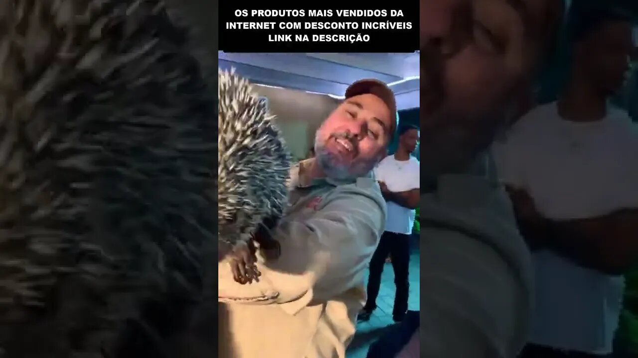 o sonic na vida real