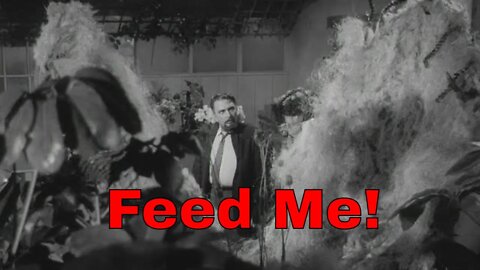 The Little Shop Of Horrors (1960) - Wednesday Night Movies & TV