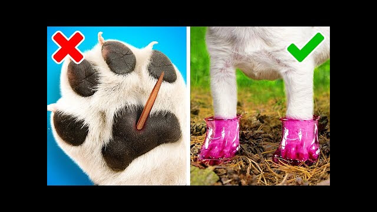 GENIUS HACKS FOR SMART PET OWNERS!