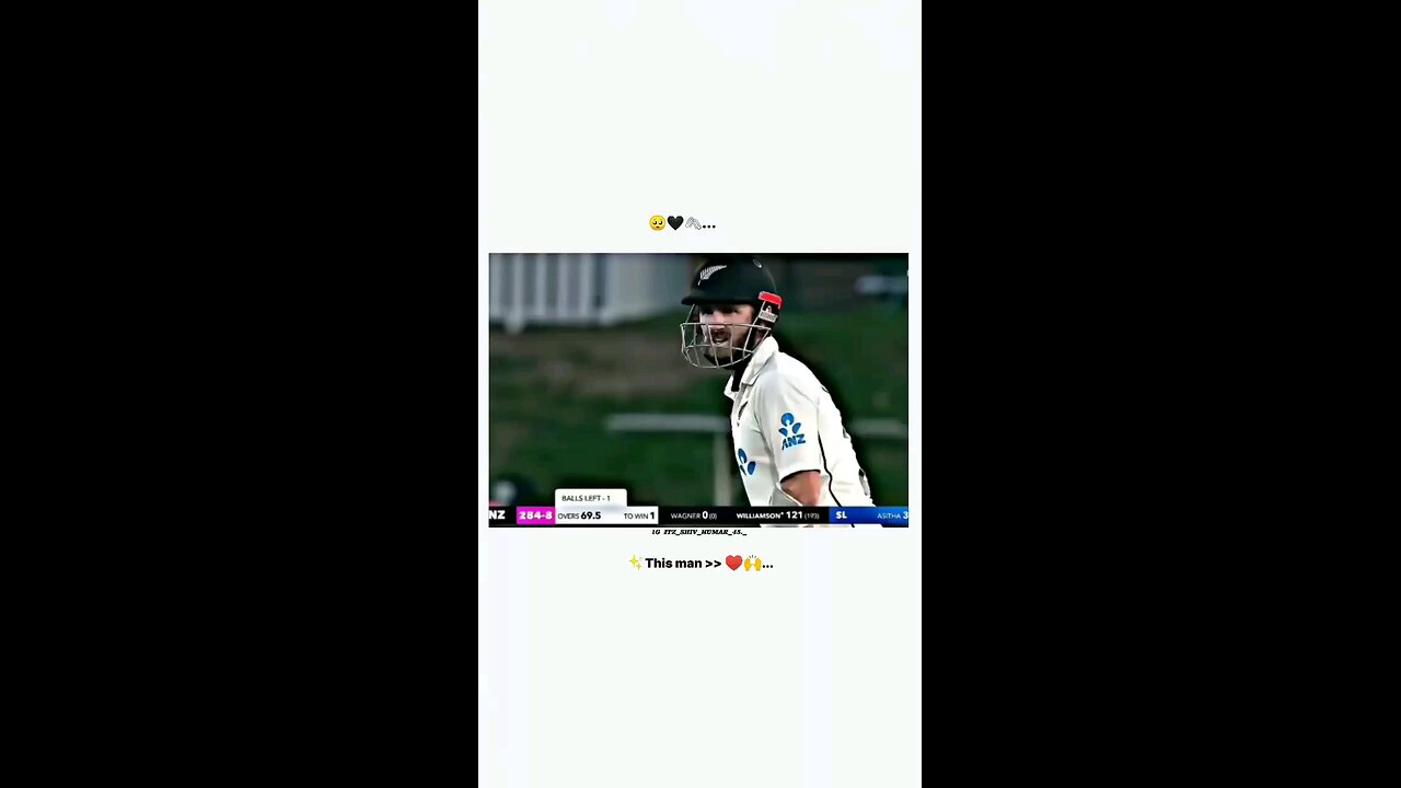 Man with Zero Haters ❤️ Kane Williamson