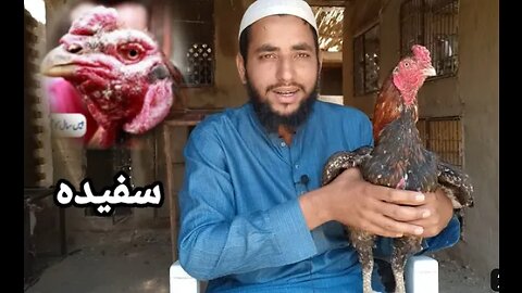 Aseel Murga Ka Chehra Sufaid Huna | سفیدے کا علاج