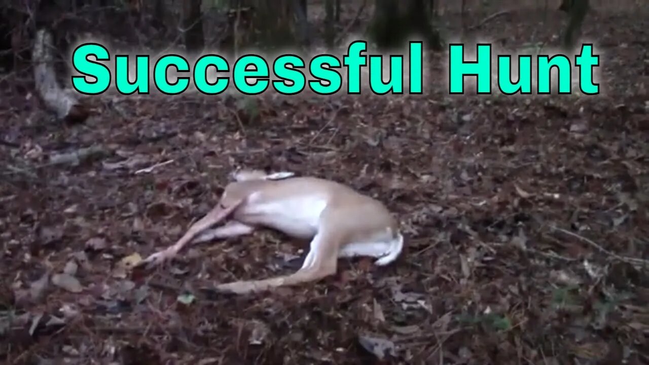 A Successful Bow Hunt #deerhunting #bowhunting