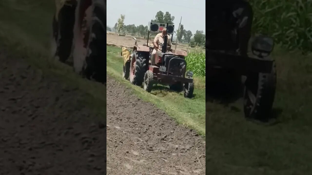 karta ohi Kam jisto dar da c