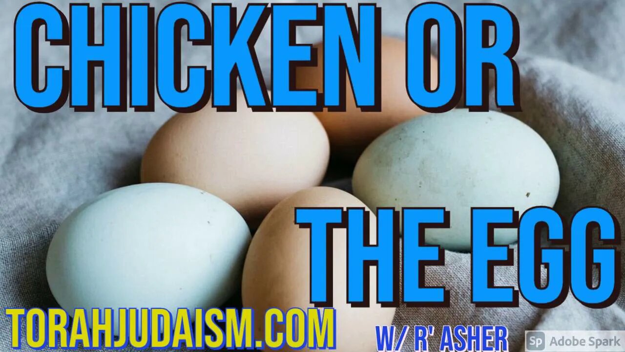 The Chicken or the Egg