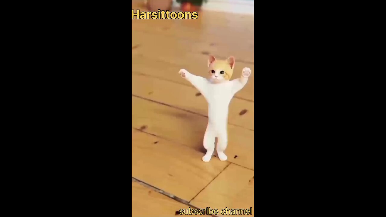 very quite cat dance