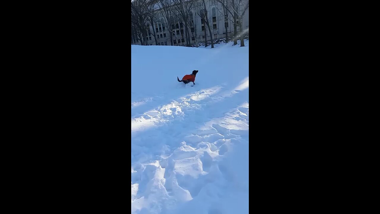 Running in the snow