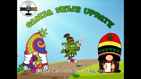 Ganja News Update starts tonight at 8pm est