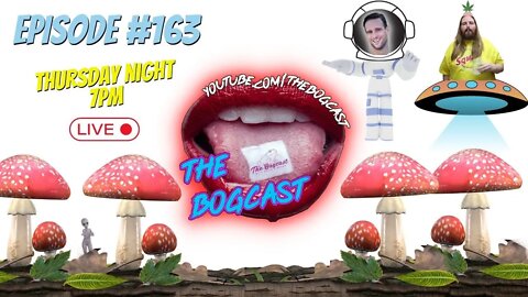 #Ep163: The Bogcast "LIVE" 8/11/22