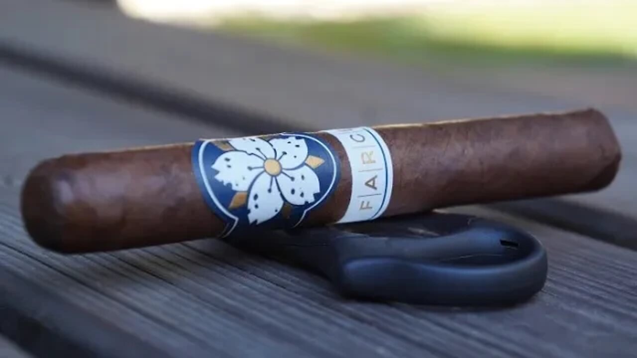 Team Review Recap: Room101 FARCE Maduro Robusto