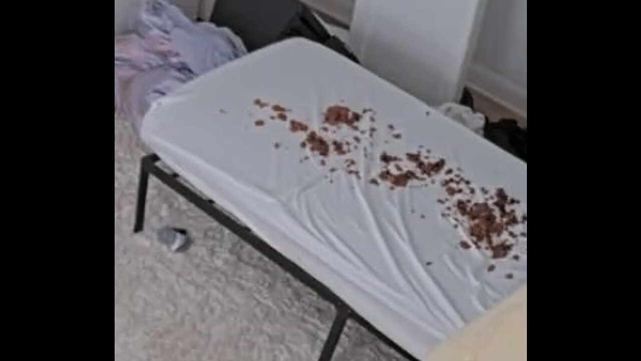 Fishtank Clip Early Day 26