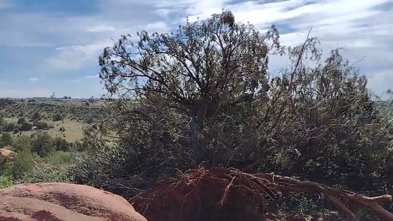 Garden of the gods south entrance trail