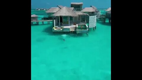 MALDIVES BEST DETINATION FOR HOLLIDAYS !! Travel Hotels Flights Vacation Trip Travel