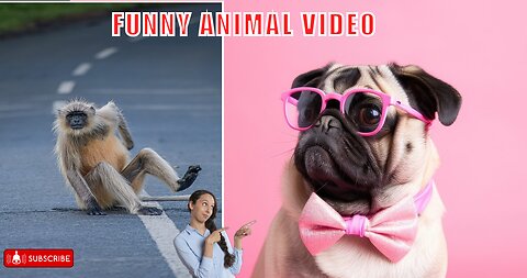 cute funny animal videos// funny animal videos for kids //best funny animal videos