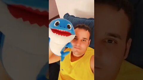 Baby Sharkquinho