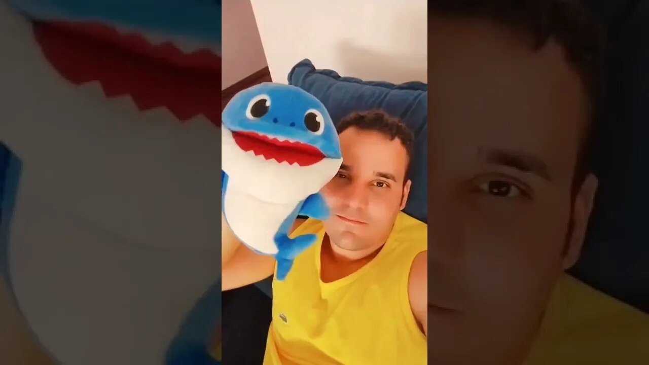 Baby Sharkquinho