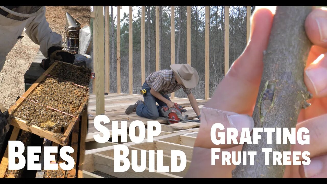 Bees, Shop Build, & Grafting Fruit Trees! | Weekend Vlog