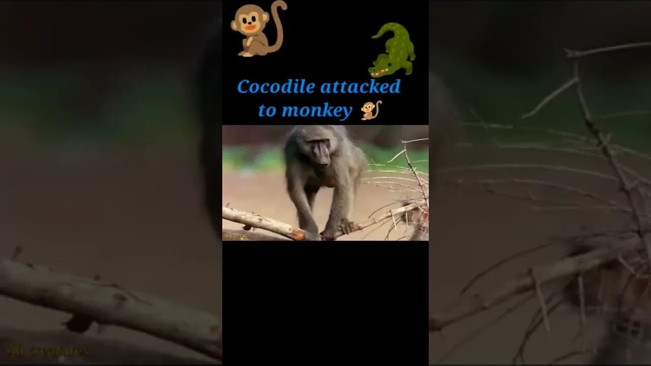 Cocodile attacked Monkey 🐒#shorts #youtubeshorts #shortvideo