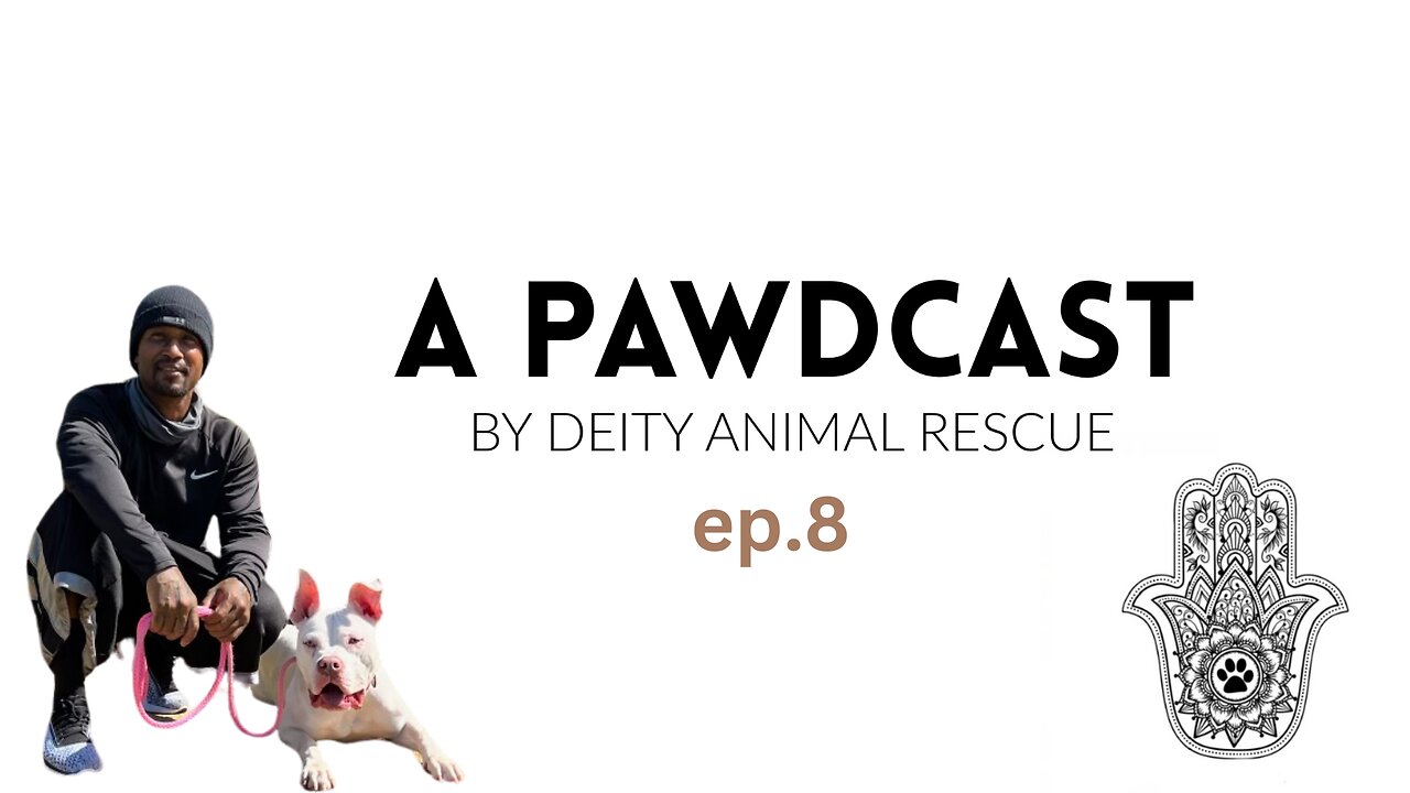 A Pawdcast Ep. 8 I K9 Kommittee