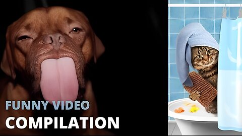 The FUNNIEST Pet Videos of 2024! 🤣 - BEST Compilation Animals Gags