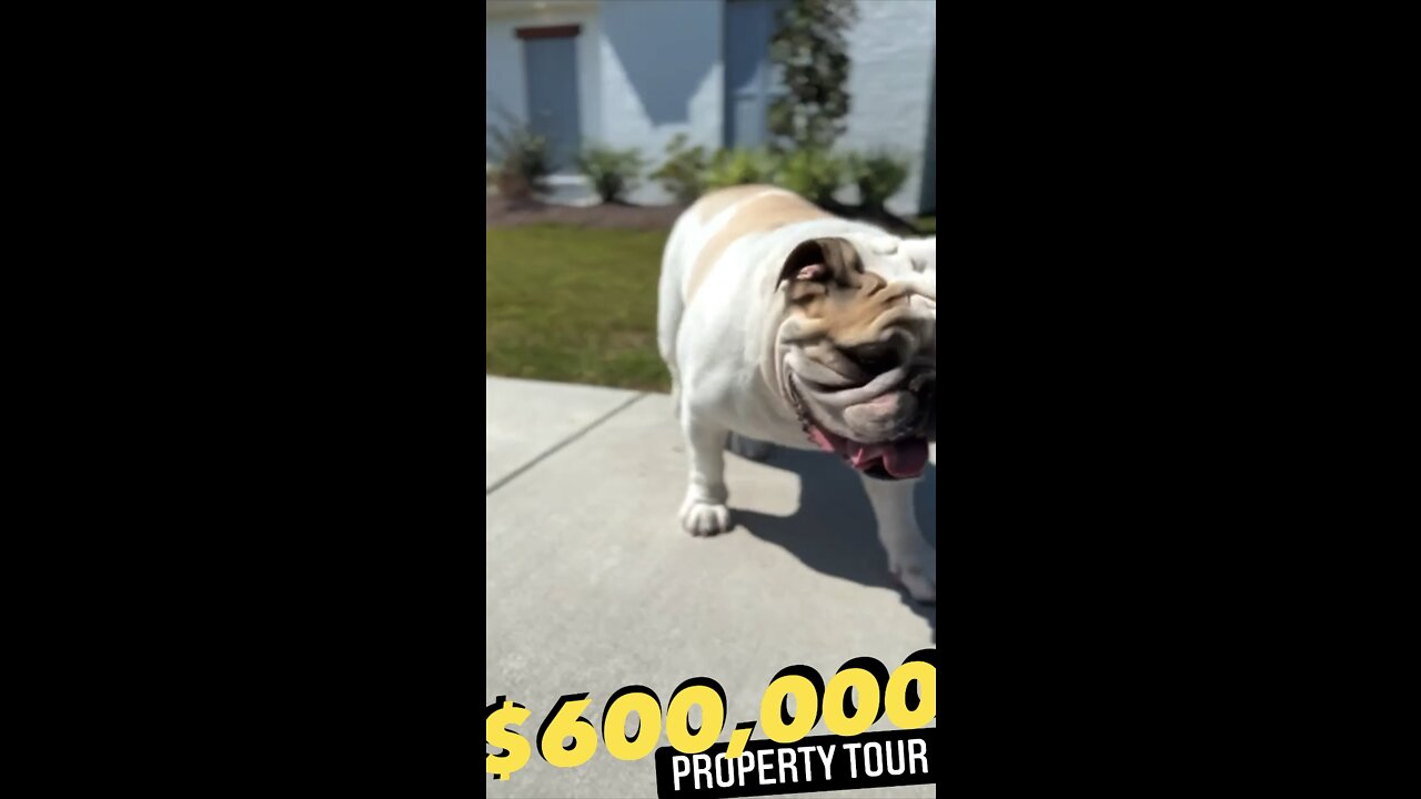 $600,000 Property Tour