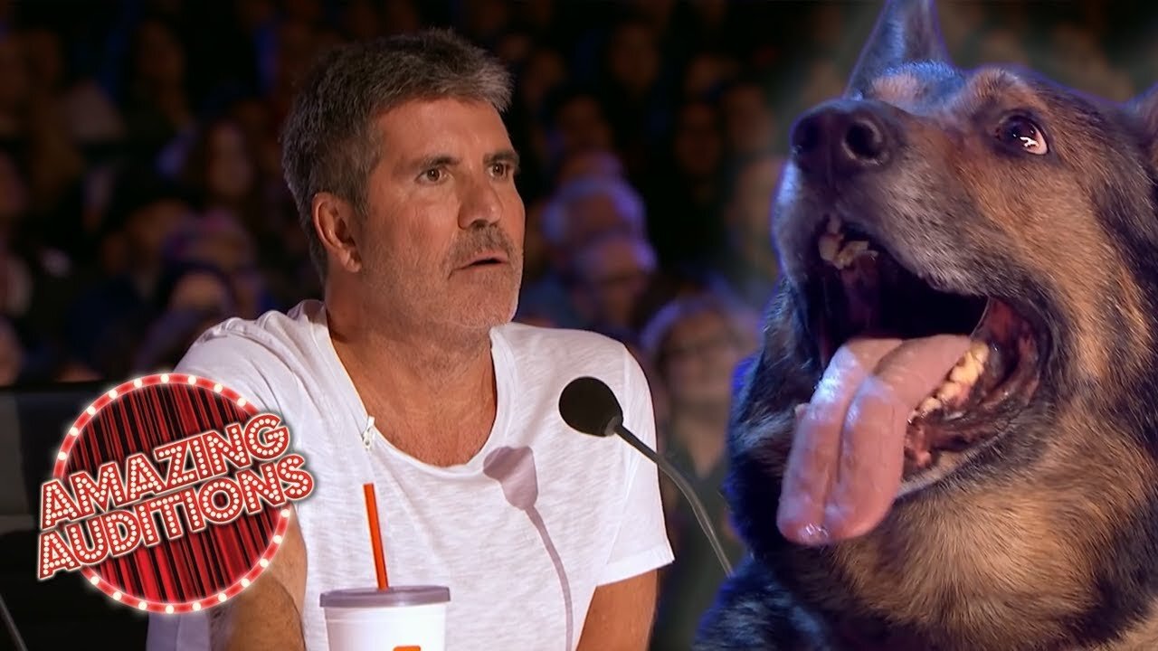 UNEXPECTED SMART Animal Auditions on Got Talent | Amazing Auditions