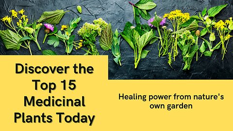 Discover Top 15 Medicinal Plants