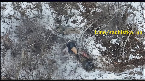 Russian shock drones in a brutal action against the Ukrainian infantry