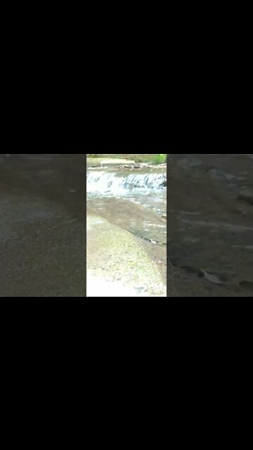 ASMR | Nature Sounds | Water