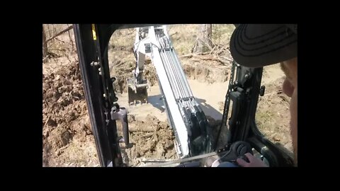 Southern Illinois flooded woods; draining the swamp, Bobcat mini excavator