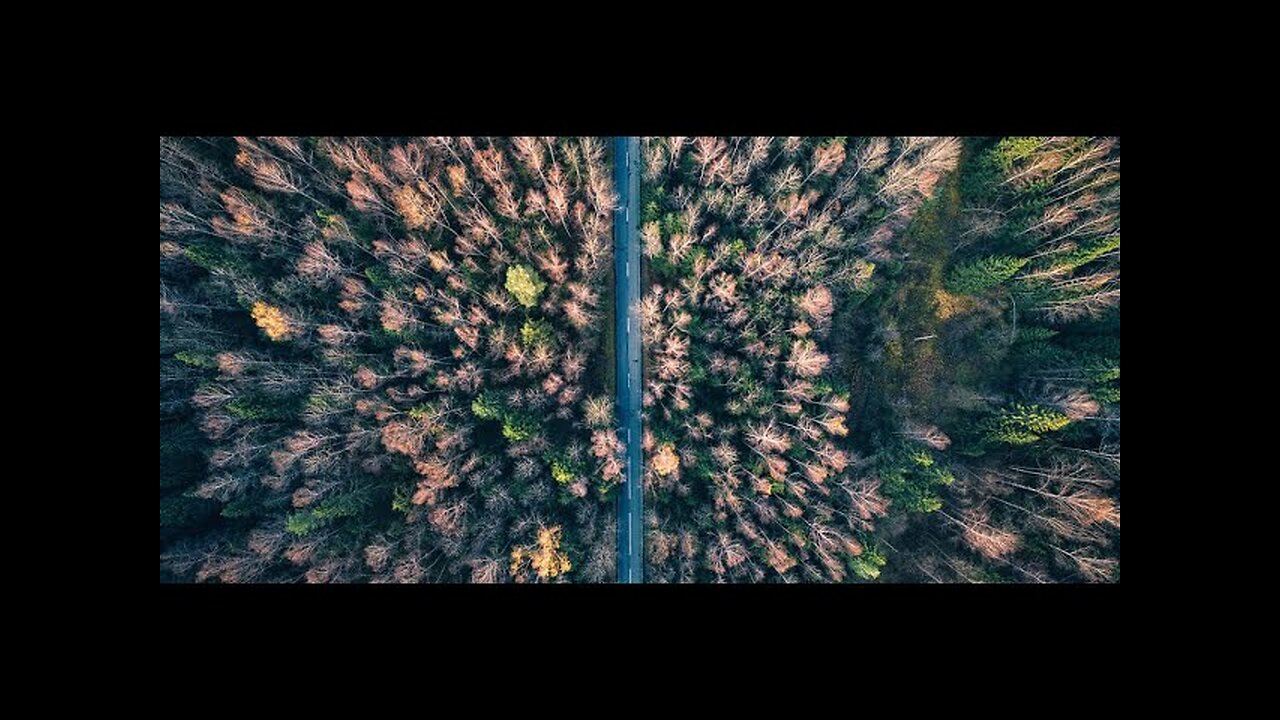 DRONE FOOTAGE BIRD EYE VIEW