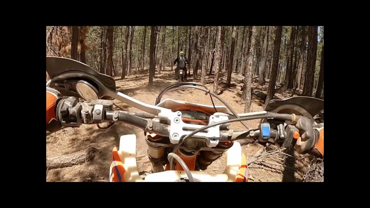 Ride the World #2 - Nemo, SD - Day 4 - Lovin' the woods!