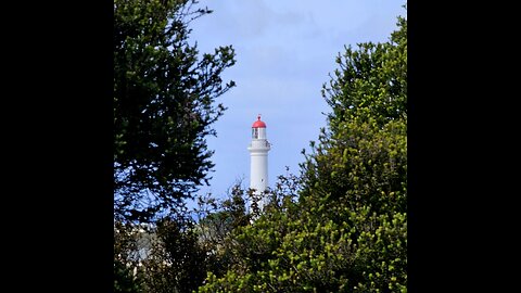 Unveiling Aireys Inlet's Coastal Wonders - 20km Circuit Hike