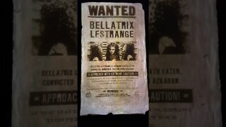 Have you seen this witch? #bellatrixlestrange #universalorlando #uoap #shorts