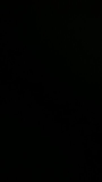 Choo-choo train 🚂