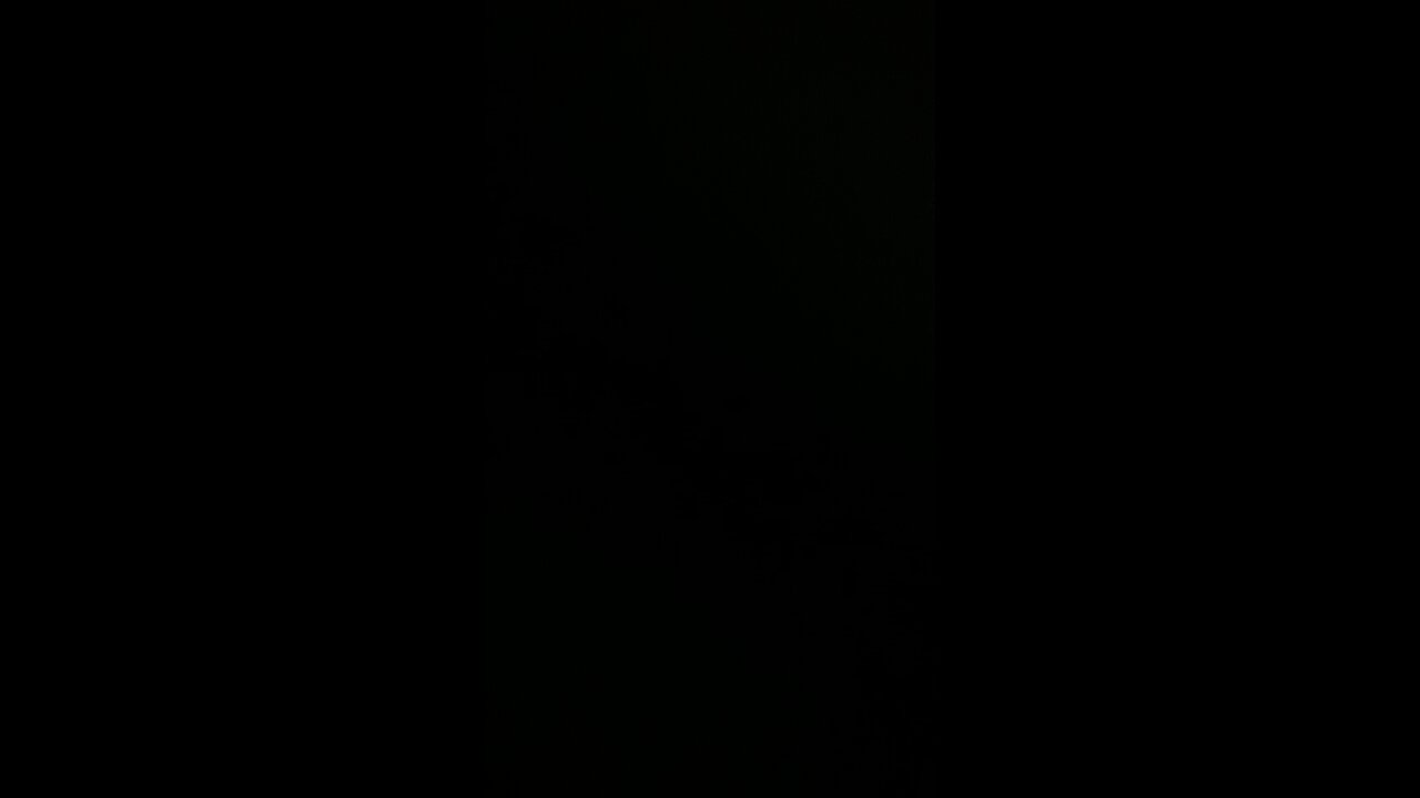 Choo-choo train 🚂