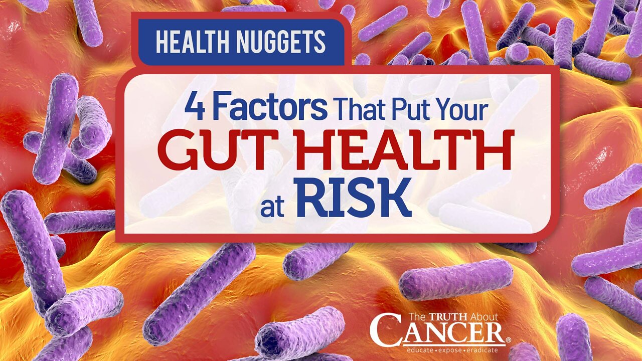 The Truth About Cancer: Health Nugget 43 - 4 Factors That Put Your Gut Health at Risk