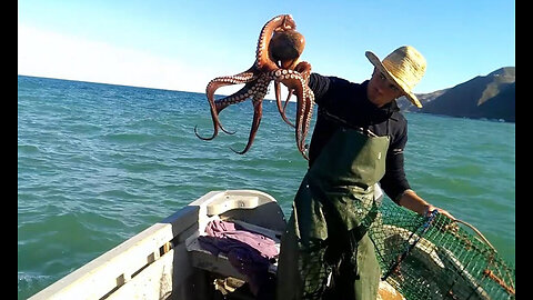 Octopus fishing method