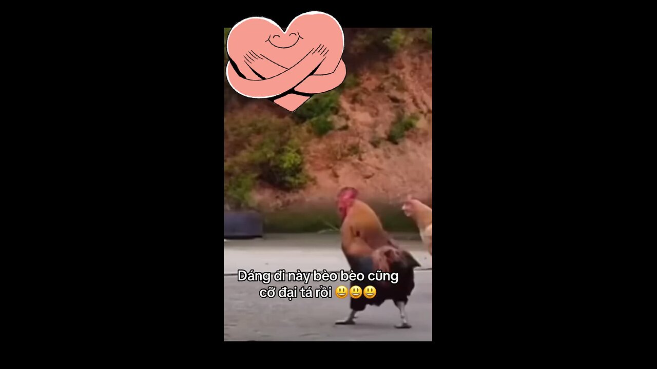 Funny Chicken