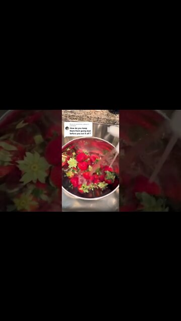 Hacks To Keep Your Fruits And Vegetables Fresh For Longer #shorts