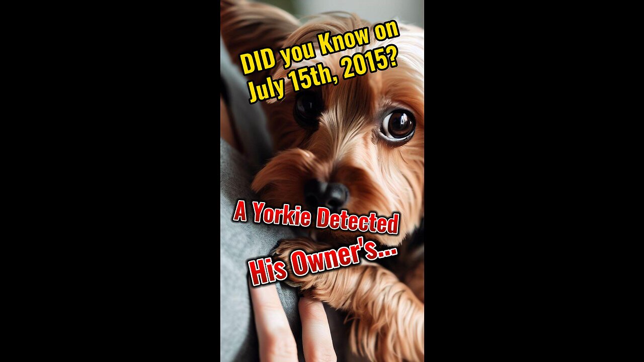 #DogsKnowBest: The Dog That Detected His Owner's Breast Cancer