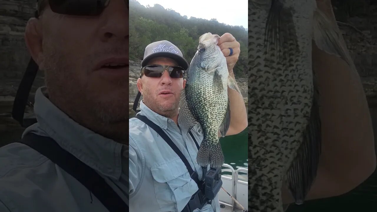 Crappie-zilla new PB 14.75 in crappie.