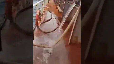 غرق سفينة فى المحيط الهندى و على متنها الضابط المصرى الشاب .