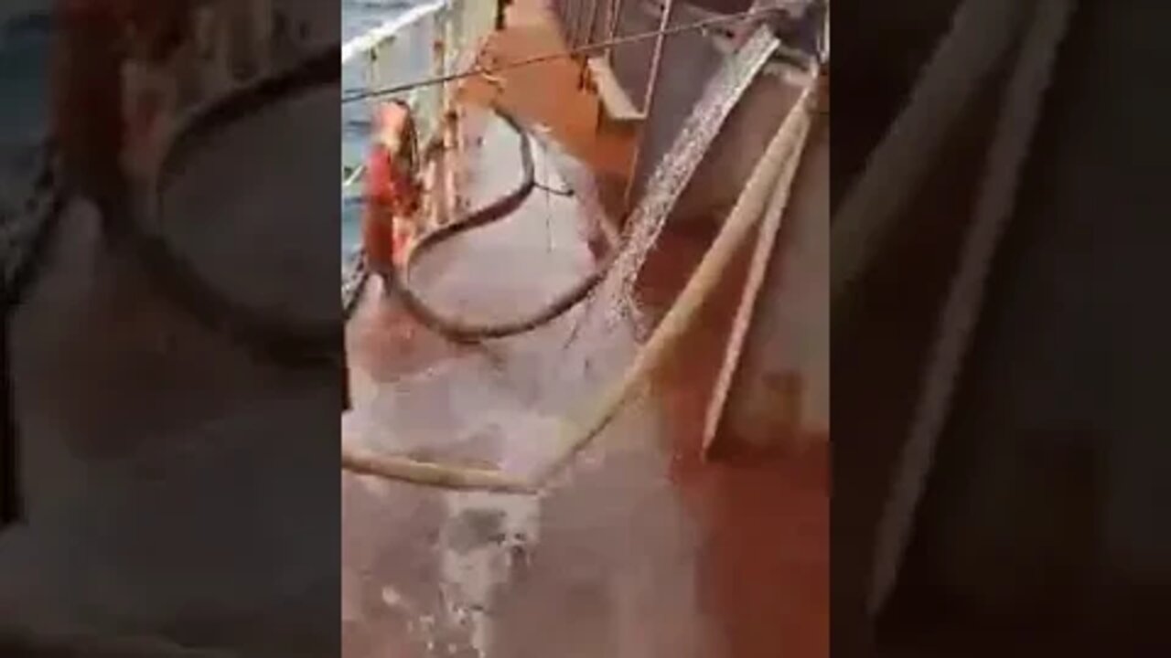غرق سفينة فى المحيط الهندى و على متنها الضابط المصرى الشاب .