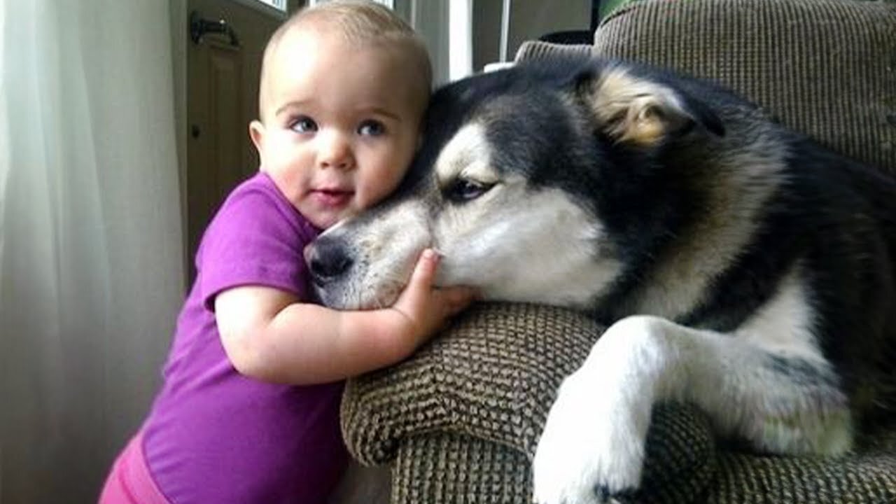 When we grow up with our best friend 🍭 Cute Moments Dog and Human