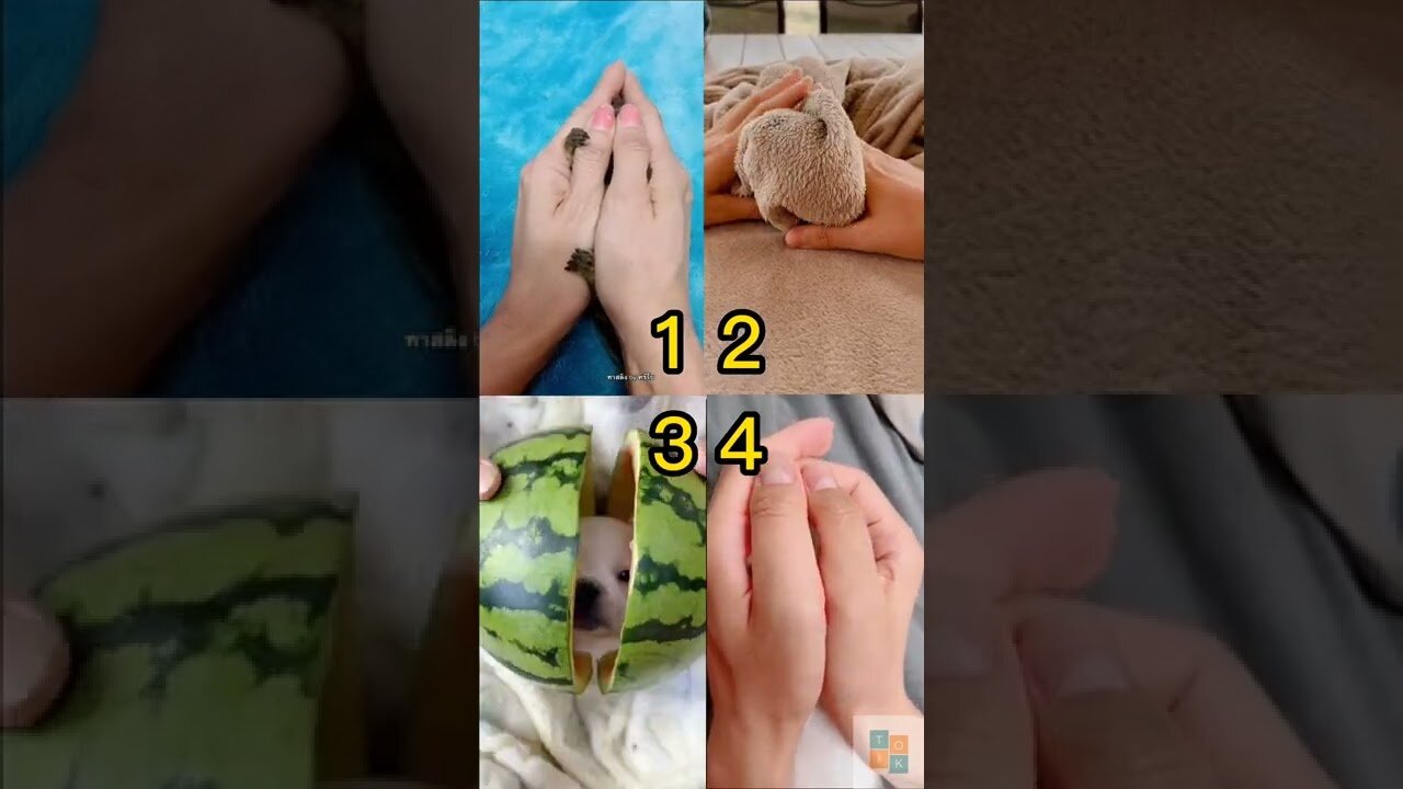 Pick Your Best? 😍 Tiktok Compilation 💘 Pinned your comment 📌