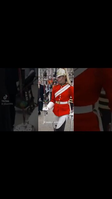 If looks could kill #horseguardsparade