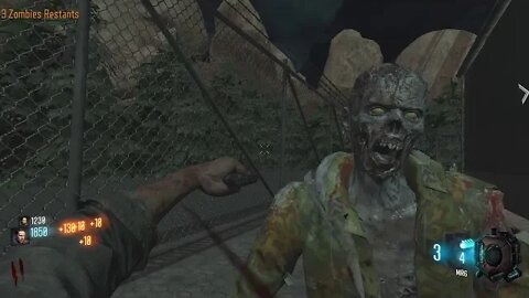 The village - Call of Duty Custom Zombies