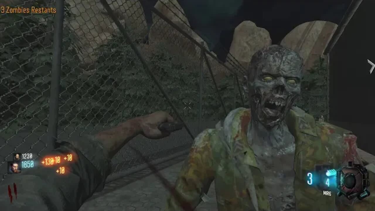 The village - Call of Duty Custom Zombies